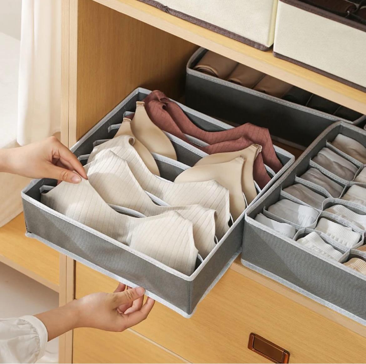 4 in 1 undergarment organizer