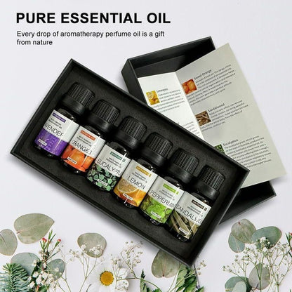 6pc set 100%Pure Natural Aromatherapy Essential Oils