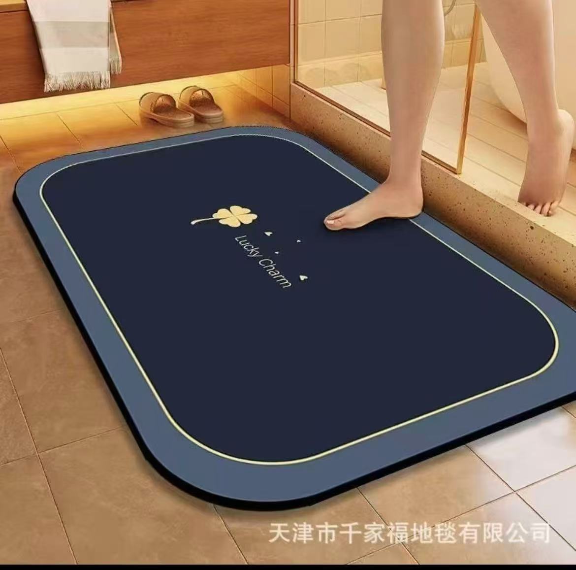 Absorbent Bathroom / Door Mat