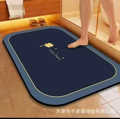 Absorbent Bathroom / Door Mat