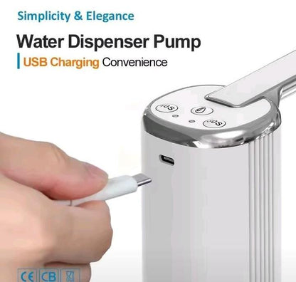 Automatic water pump