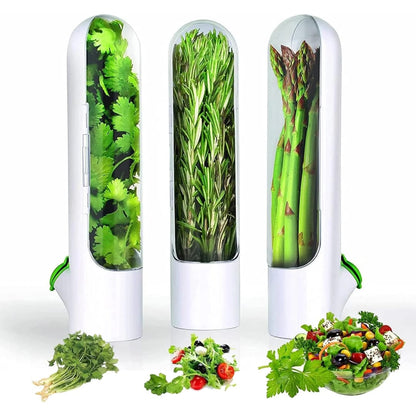 Herbs and Vegetable Storage Box