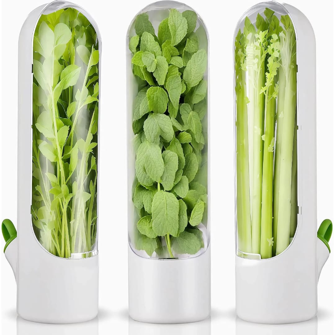 Herbs and Vegetable Storage Box