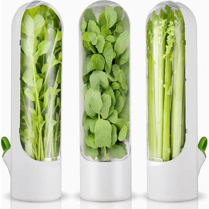 Herbs and Vegetable Storage Box